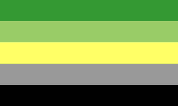 A bandeira é composta por cinco faixas horizontais. A faixa superior é verde escura, seguida por uma faixa verde clara. A terceira faixa é amarela, a quarta faixa é cinza e a faixa inferior é preta.