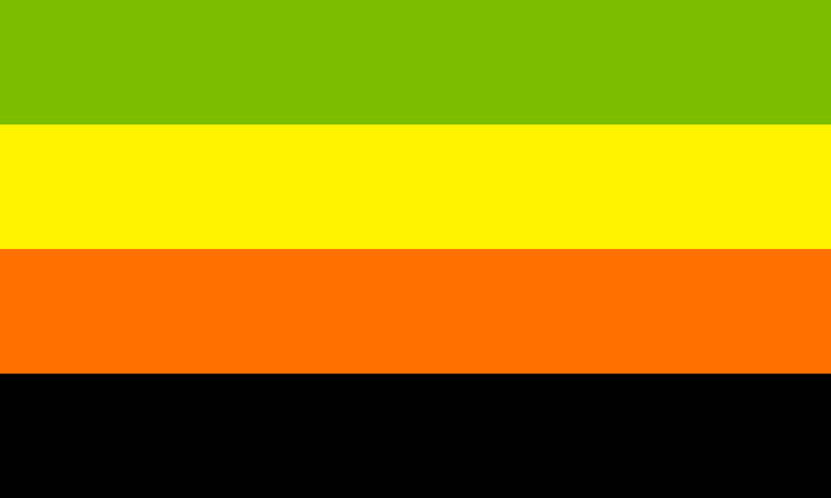 A bandeira é formada por quatro faixas horizontais. A faixa superior é verde, seguida por uma faixa amarela. A terceira faixa é laranja, a quarta faixa é preta.