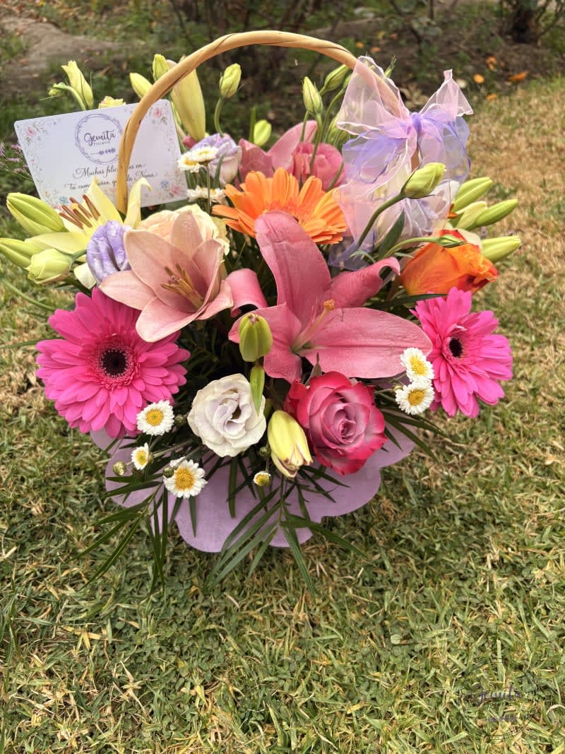 Alegría Floral