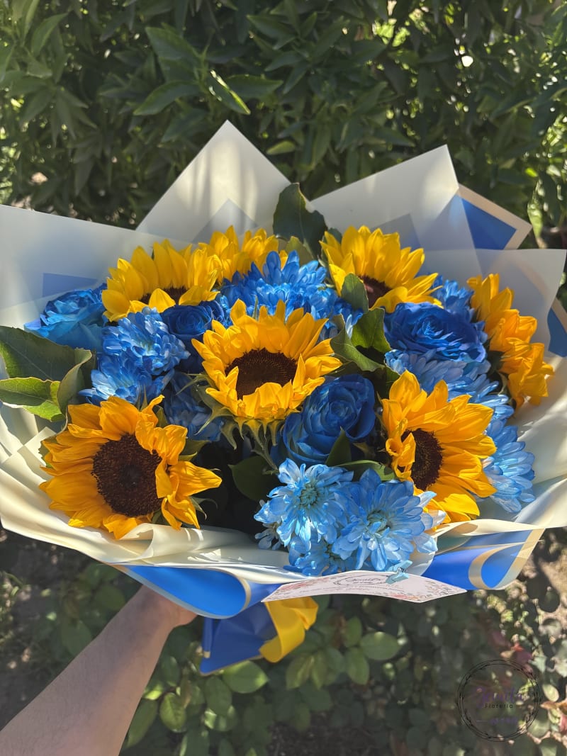 Azul del Sol