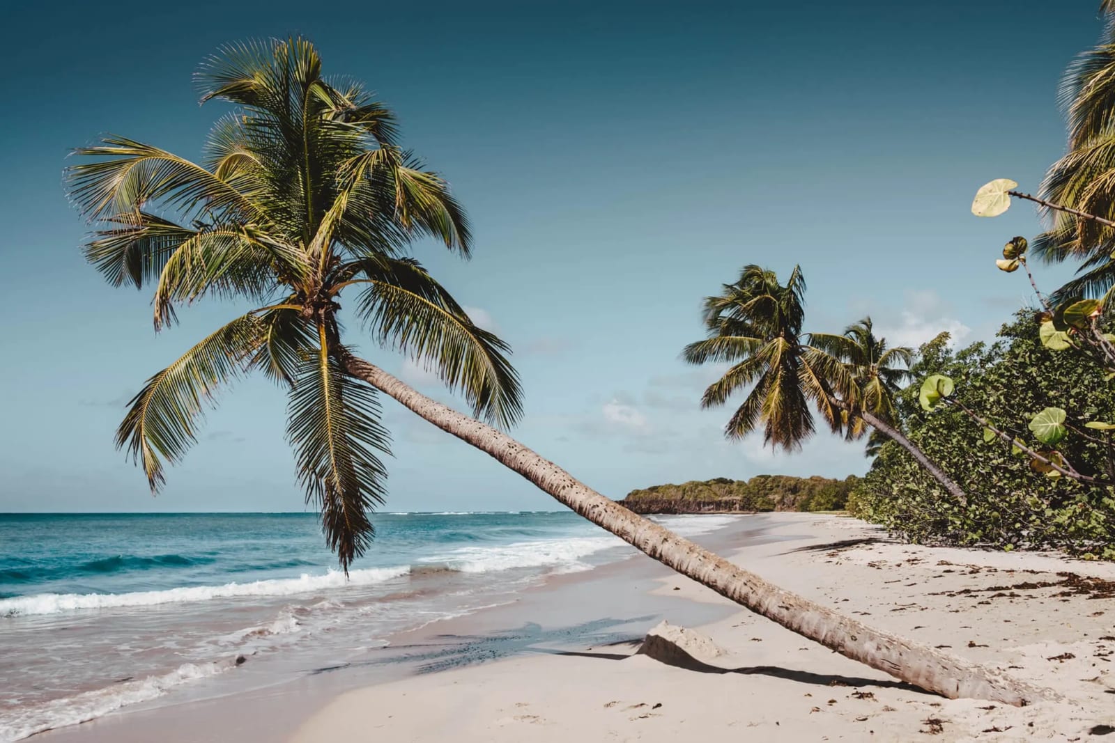 Vue aérienne du littoral de la Martinique