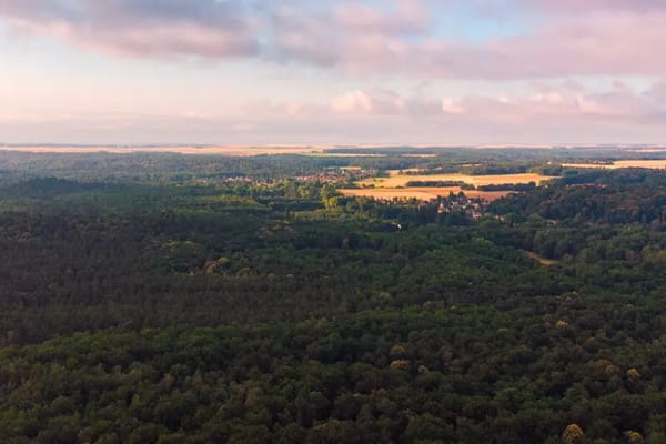 Fontainebleau — Trois Pignons