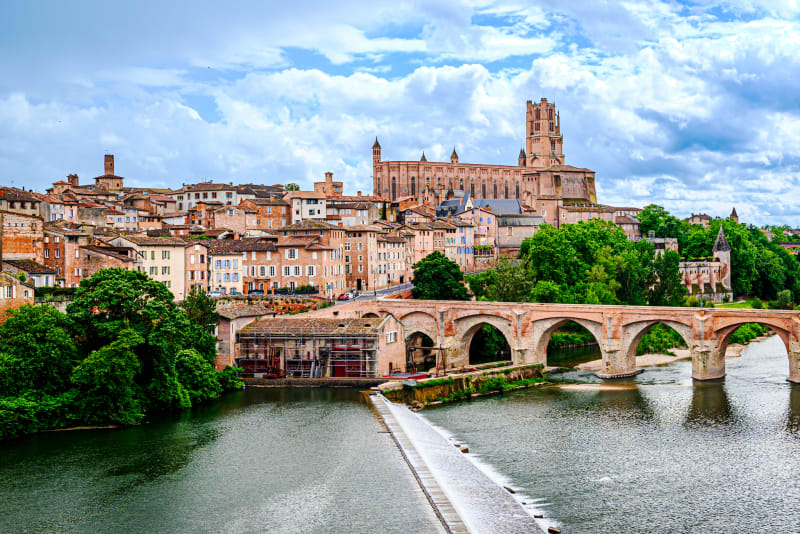Cathédrale d'Albi et pont vieux
