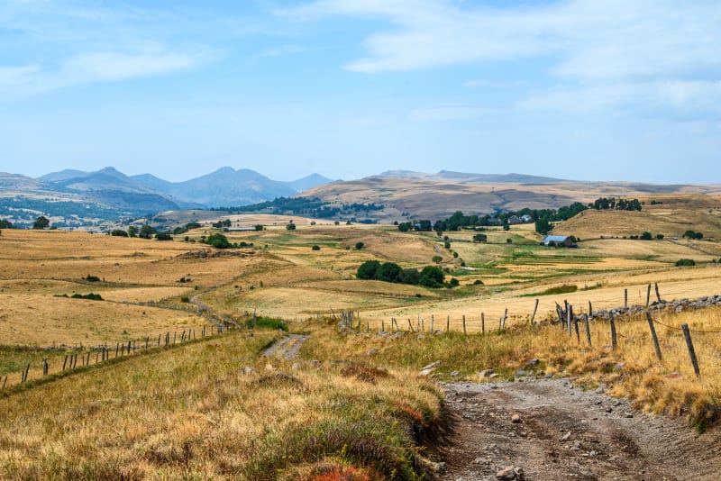 Cézallier, vue sur les Monts du Cantal