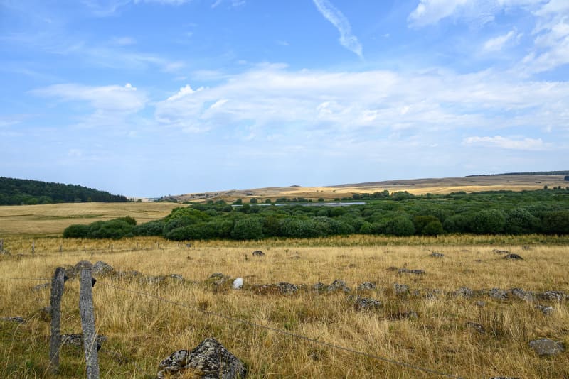 Les tourbières du Jolan et de la Gazelle