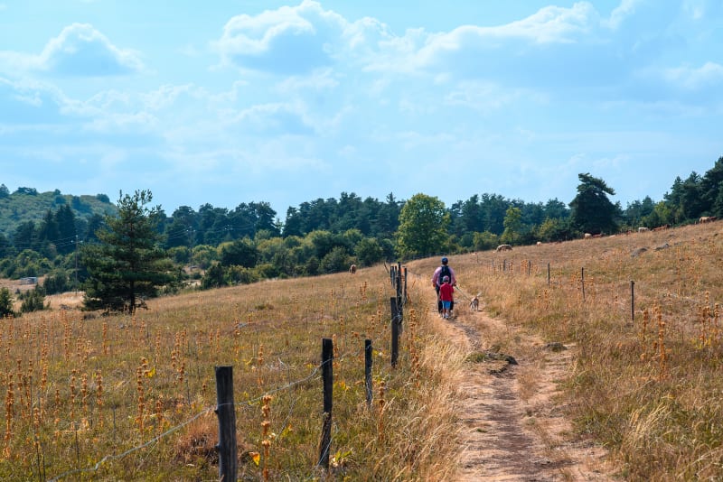 Sandrine, Glasgow et Victor en randonée dans le Cantal