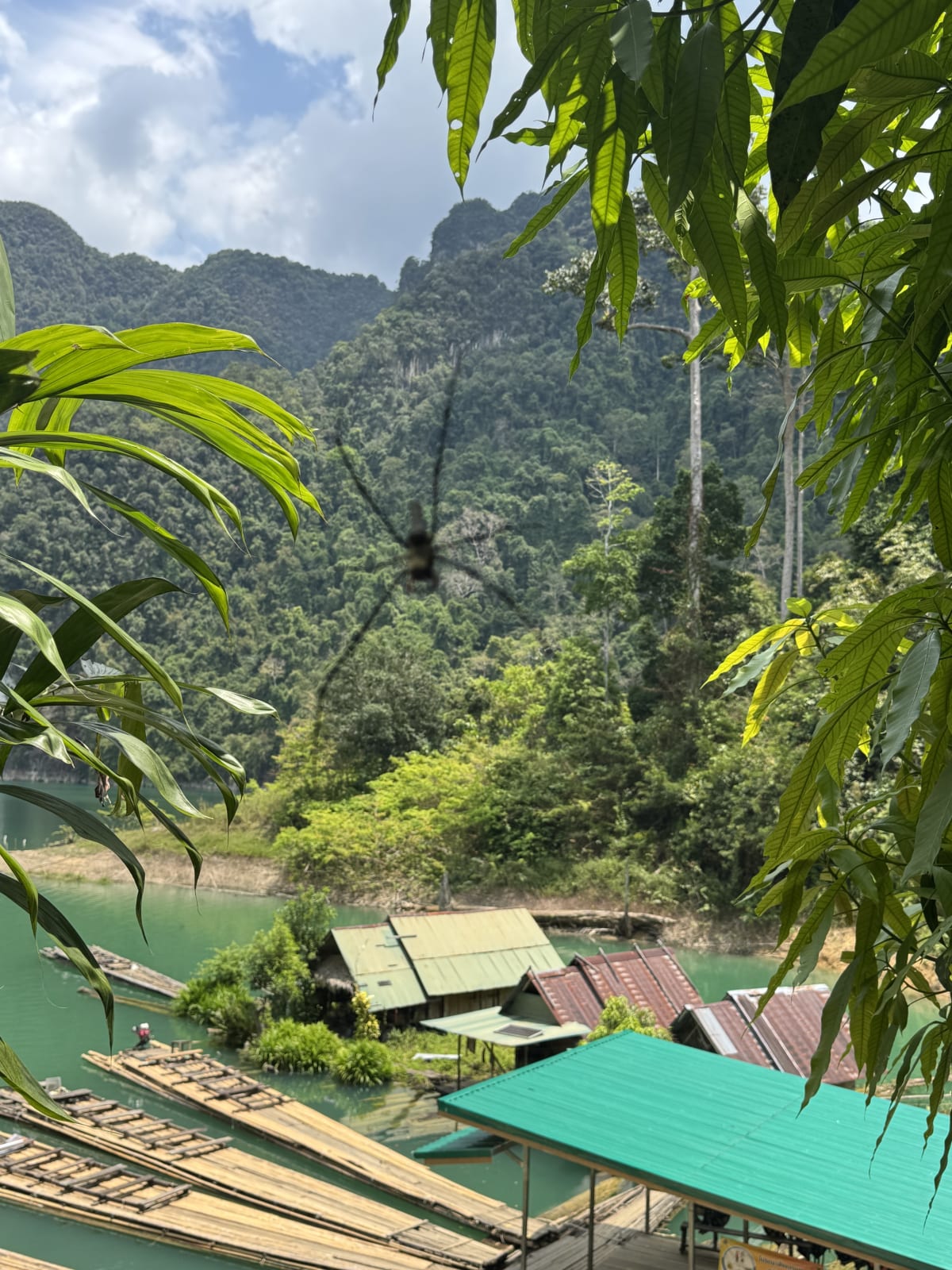 Drijvende hutten op het smaragdgroene Cheow Lan meer in Khao Sok Thailand
