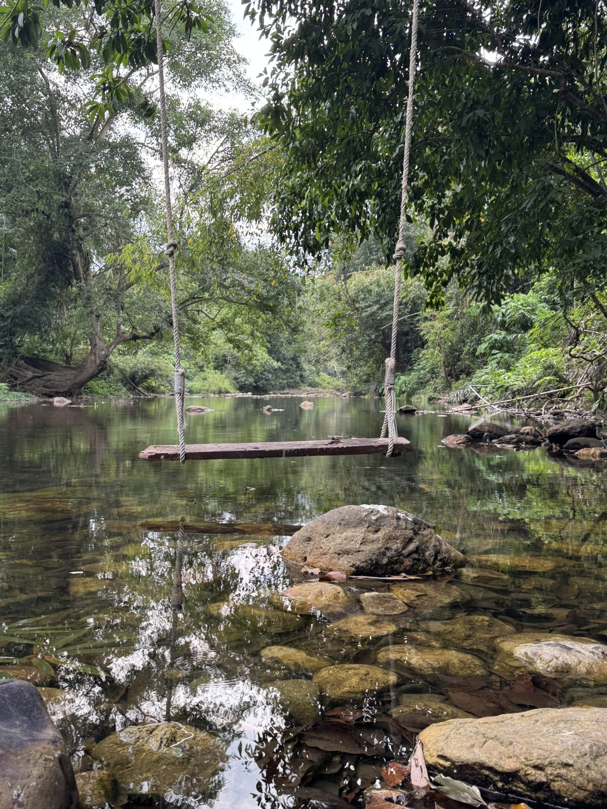 Houten schommel aan een boom boven een heldere rivier in de jungle bij Pai Thailand