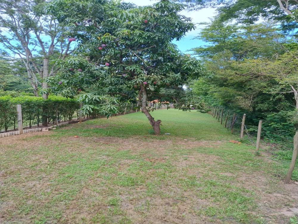 RANCHO NA BEIRA DA ÁGUA NO CONDOMÍNIO IPÊ,0000 - CONDOMÍNIO IPÊ