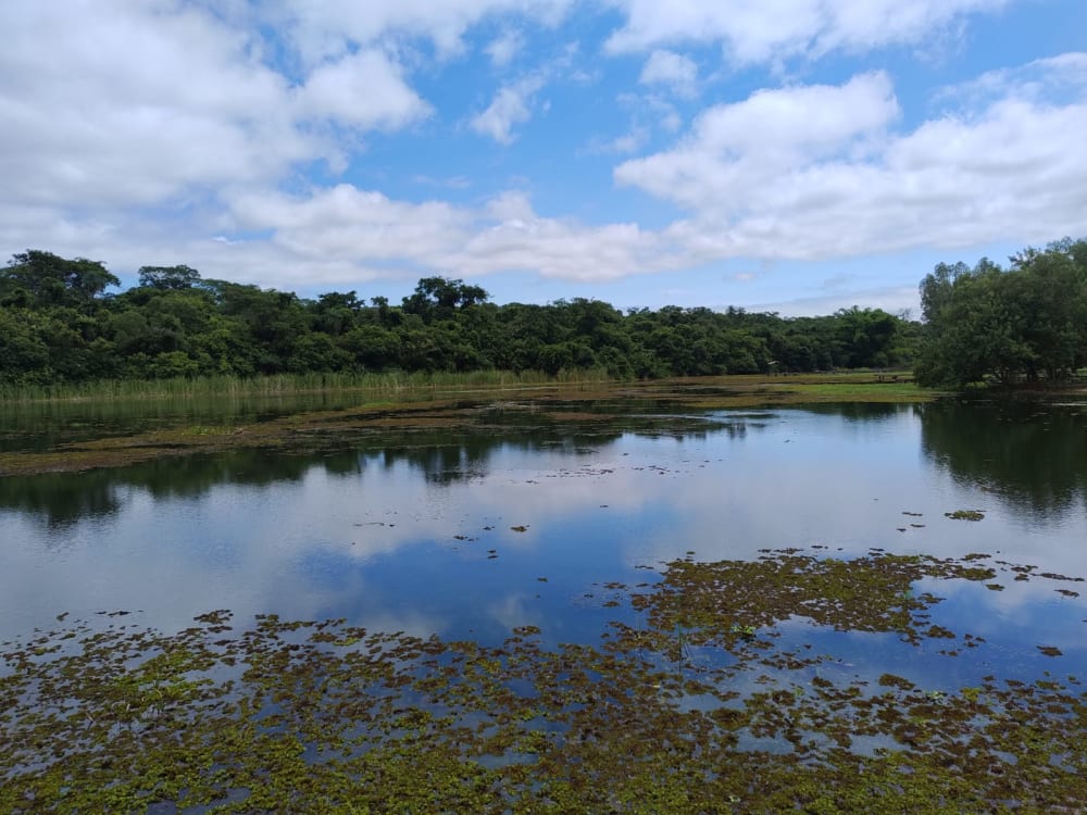 RANCHO NA BEIRA DA ÁGUA NO CONDOMÍNIO IPÊ,0000 - CONDOMÍNIO IPÊ