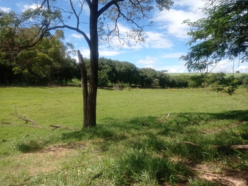 TERRENO PARA CHÁCARA EM BRAÚNA,000 - FAZENDA GOAPORANGA