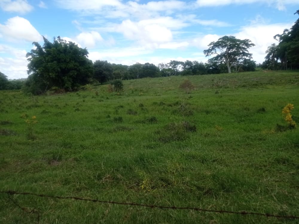 TERRENO PARA CHÁCARA EM BRAÚNA,000 - FAZENDA GOAPORANGA