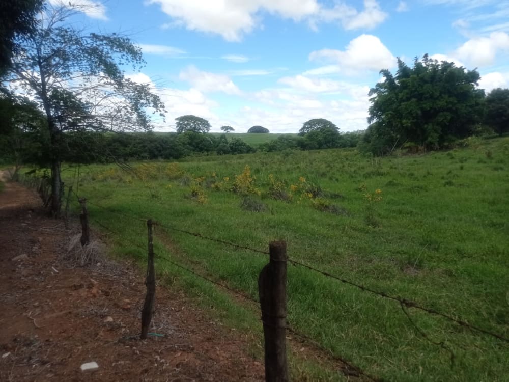TERRENO PARA CHÁCARA EM BRAÚNA,000 - FAZENDA GOAPORANGA