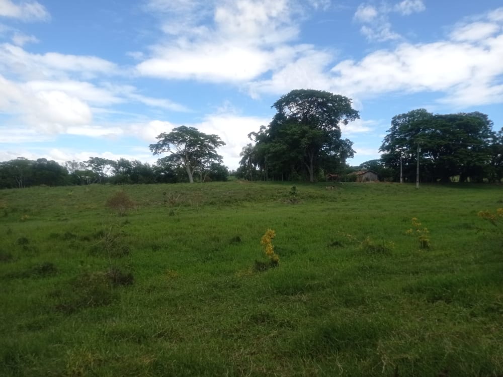 TERRENO PARA CHÁCARA EM BRAÚNA,000 - FAZENDA GOAPORANGA