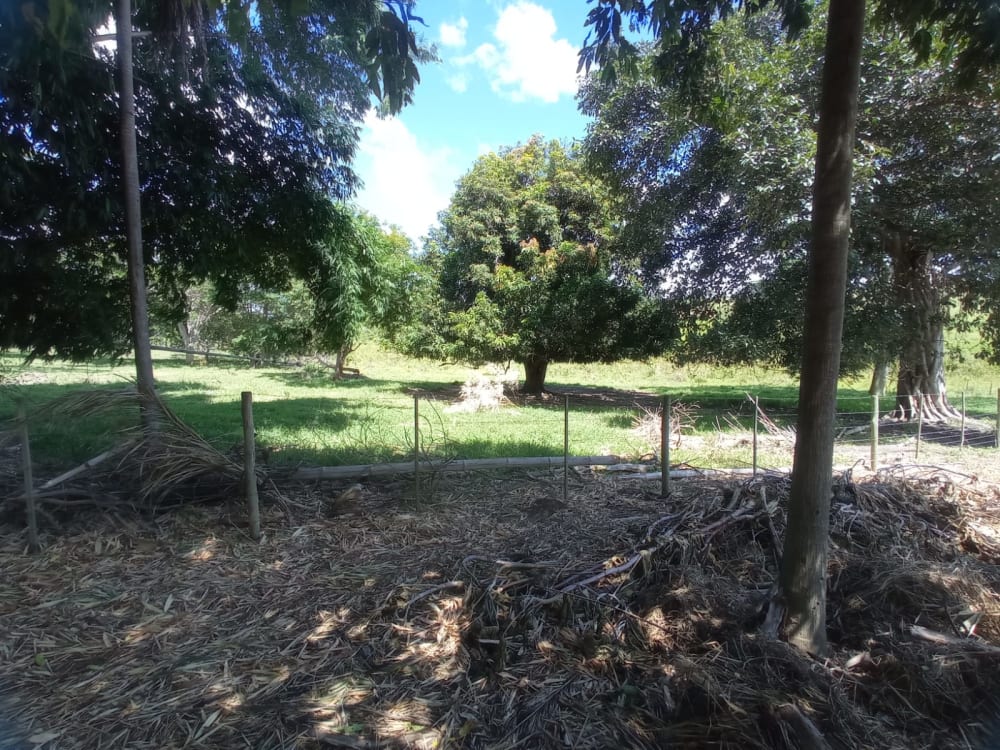 TERRENO PARA CHÁCARA EM BRAÚNA,000 - FAZENDA GOAPORANGA