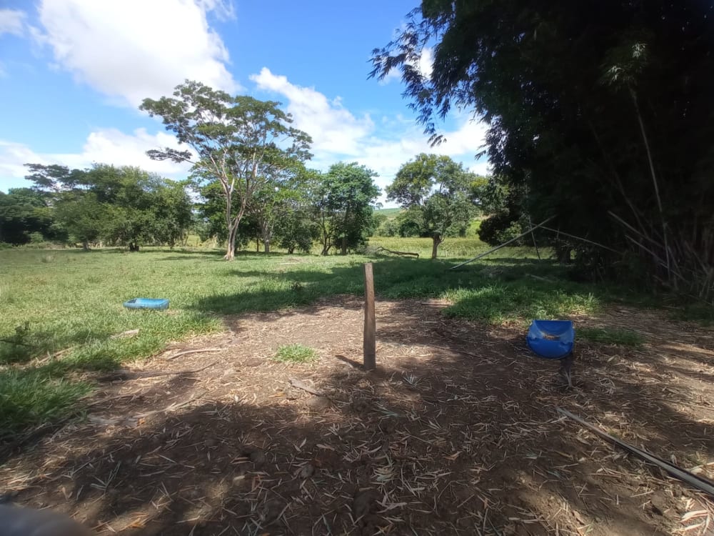 TERRENO PARA CHÁCARA EM BRAÚNA,000 - FAZENDA GOAPORANGA