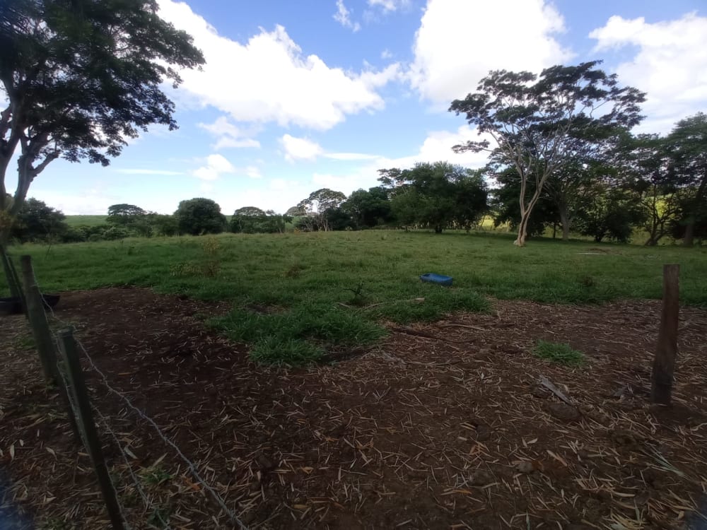 TERRENO PARA CHÁCARA EM BRAÚNA,000 - FAZENDA GOAPORANGA