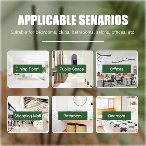 Vue 6 de Pcs Grand Batonnets Diffuseur