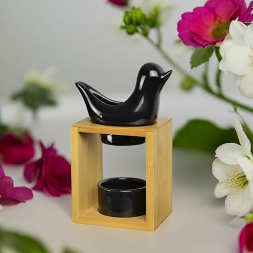 Vue 5 de Brule Parfum Birdy Noir