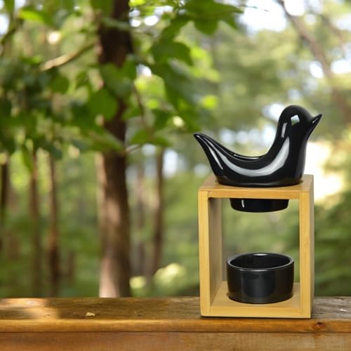 Vue 6 de Brule Parfum Birdy Noir