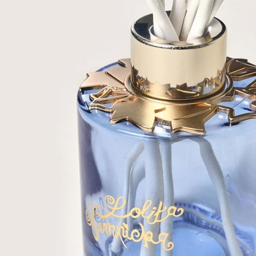 Vue 5 de Maison Berger Diffuseur Bouquet