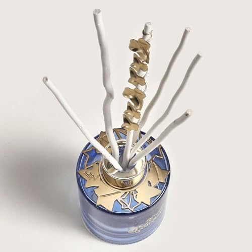Vue 6 de Maison Berger Diffuseur Bouquet