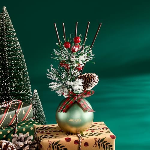 Vue 2 de Airkeep Diffuseur De Parfum