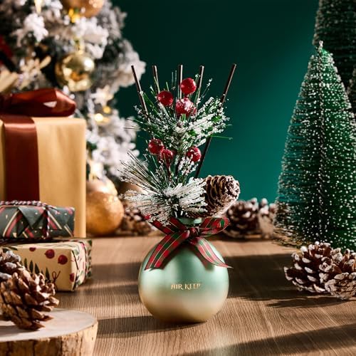 Vue 4 de Airkeep Diffuseur De Parfum