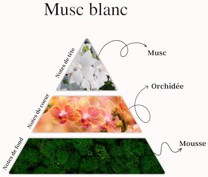 Vue 2 de Concentre De Parfum Pour