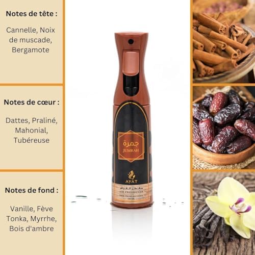 Vue 2 de Ayat Perfumes Desodorisant Maison