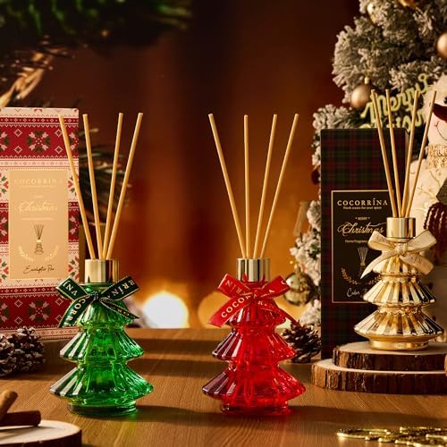 Vue 5 de Cocorrina Diffuseur De Parfum