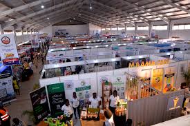 Driving Connections and Growth Through PEDEA Events