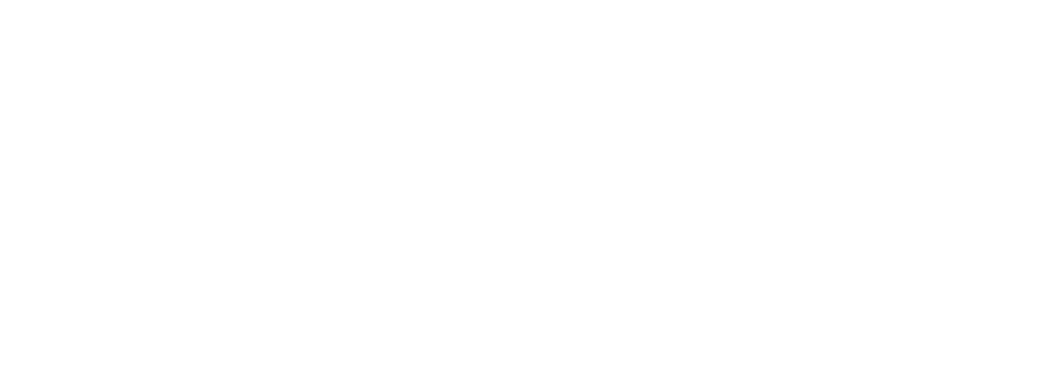 Udaan