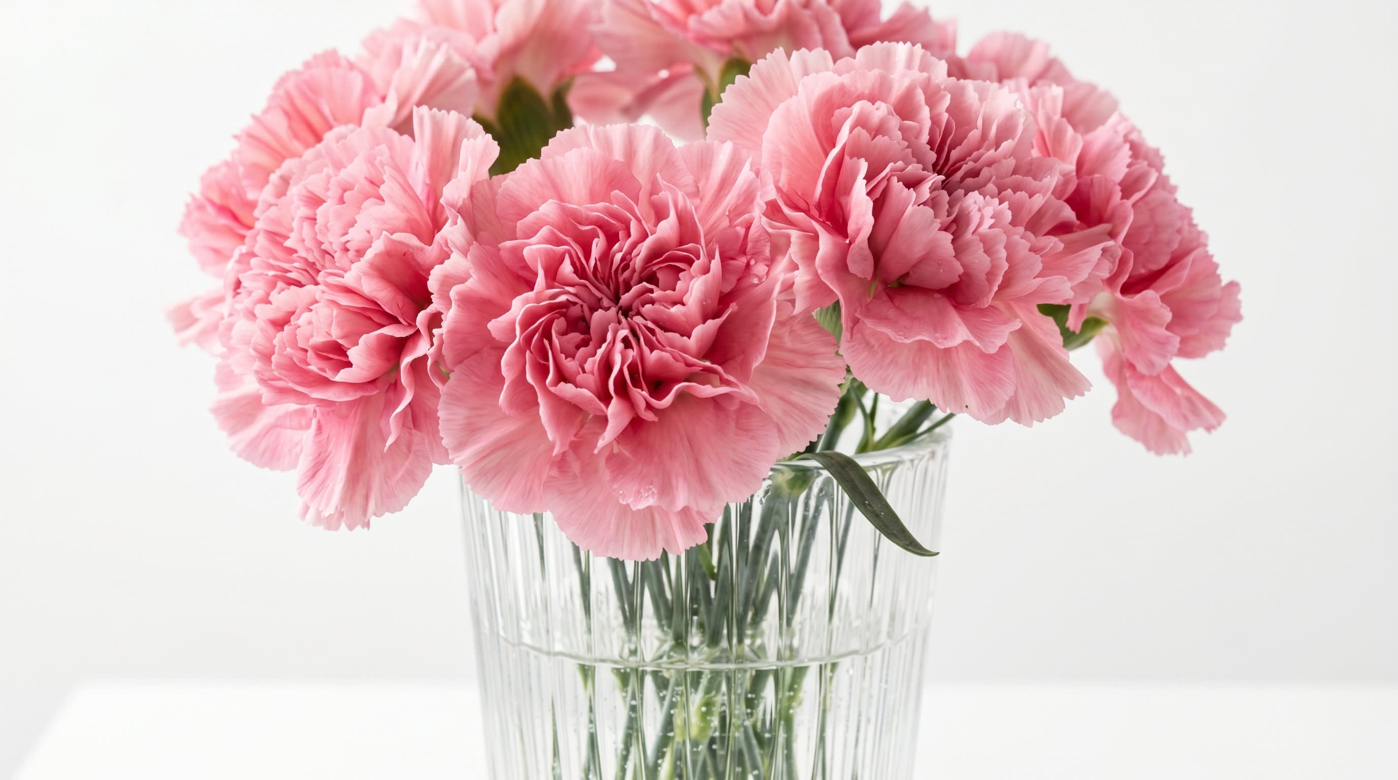 Classic pink carnations in a glass vase to give to Mom