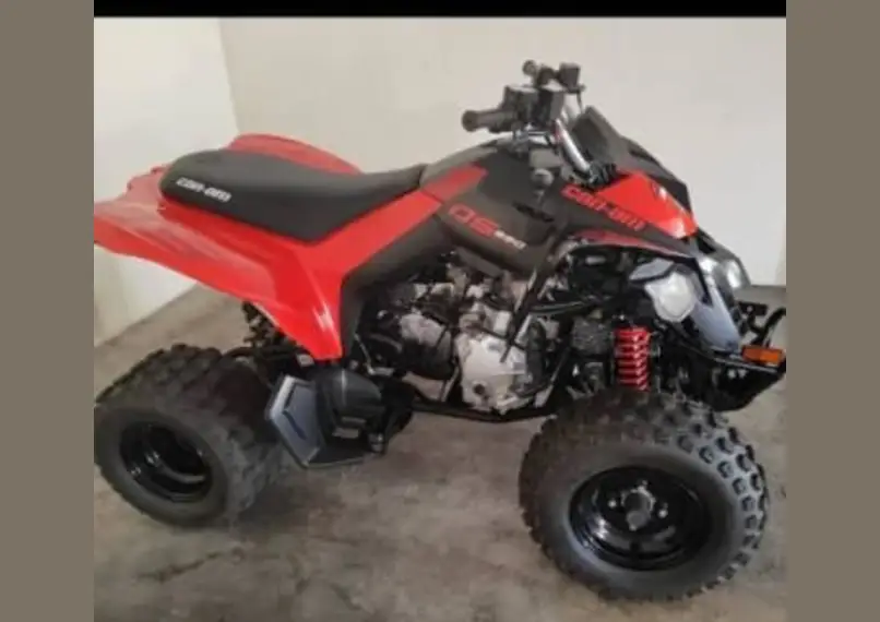Can Am Ds 250 2022