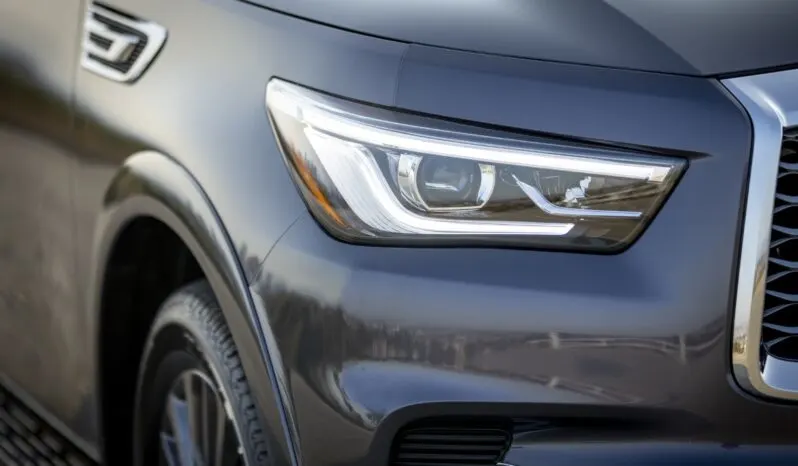 Infiniti QX80 lleno