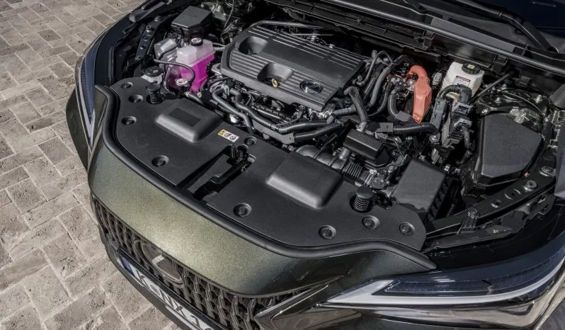 Lexus NX Executive lleno
