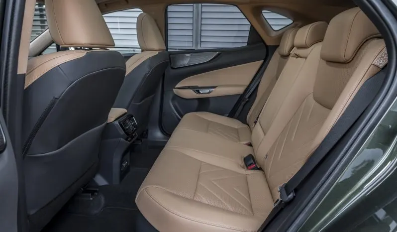 Lexus NX Luxury lleno