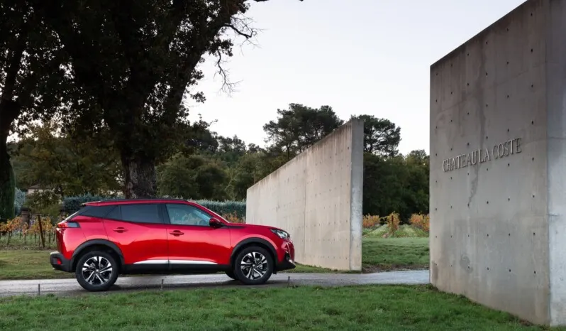 Peugeot 2008 Active lleno