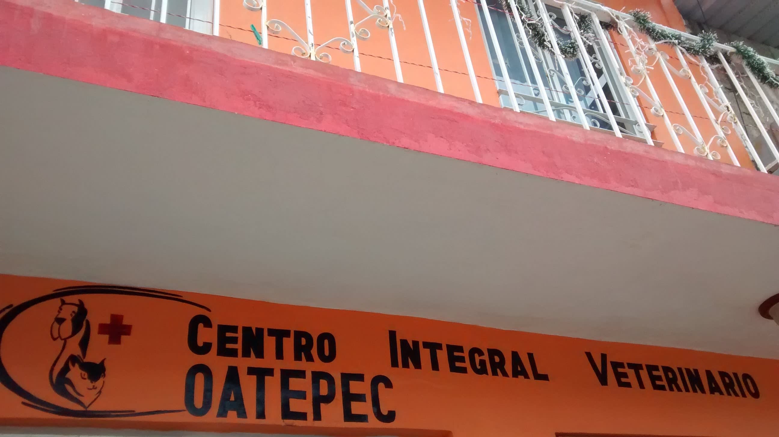 Centro Integral Veterinario Coatepec