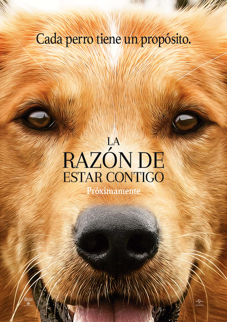 La razón de estar contigo