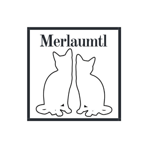 logo Repertoire SEMEQ