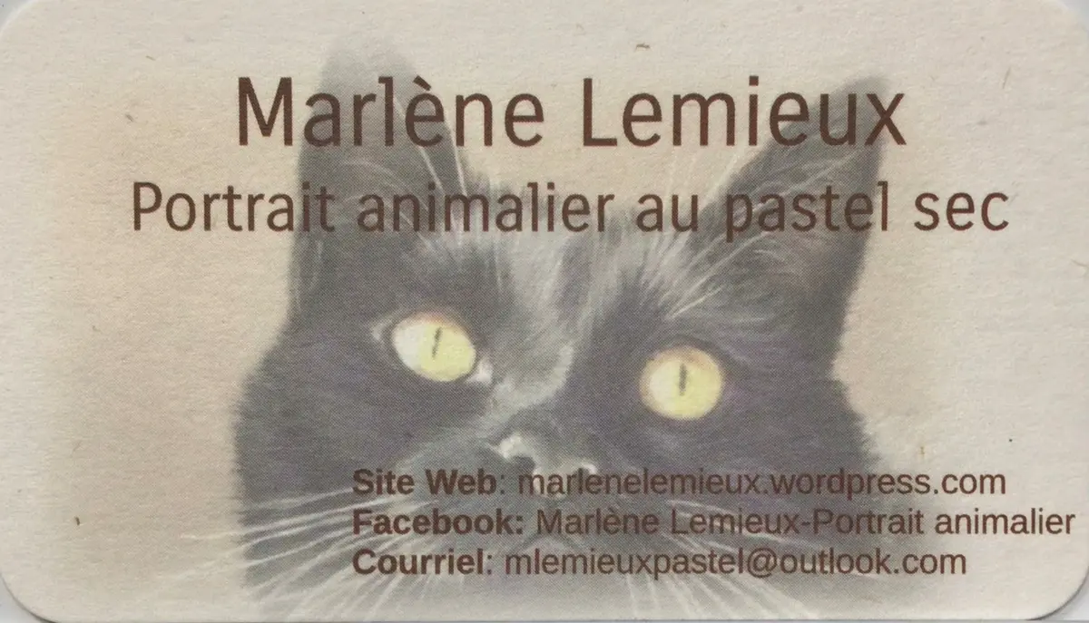 logo Repertoire SEMEQ