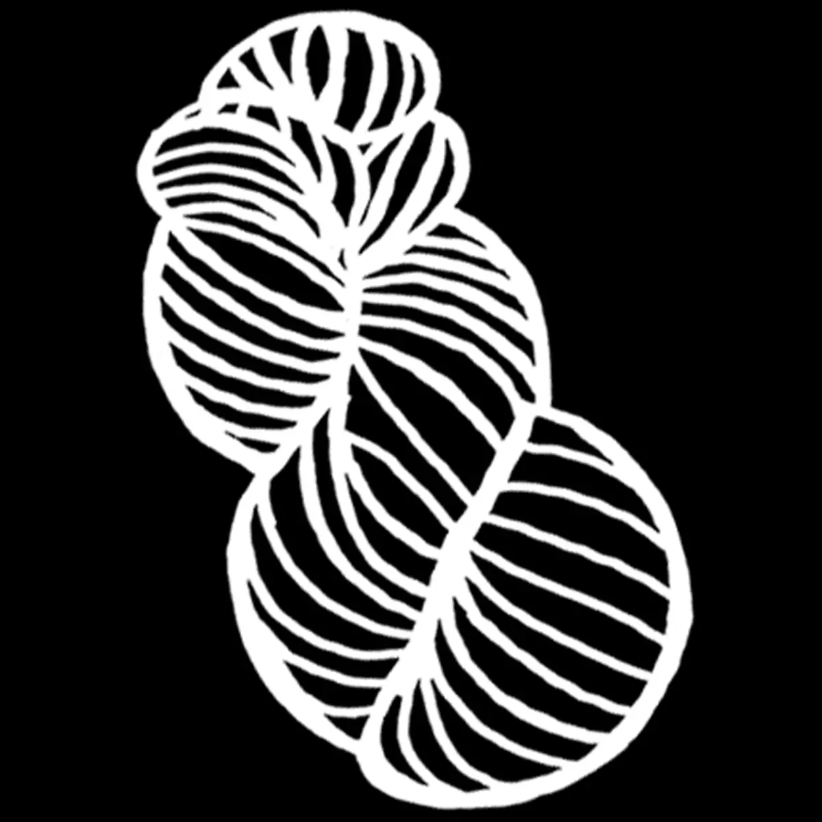 logo Repertoire SEMEQ