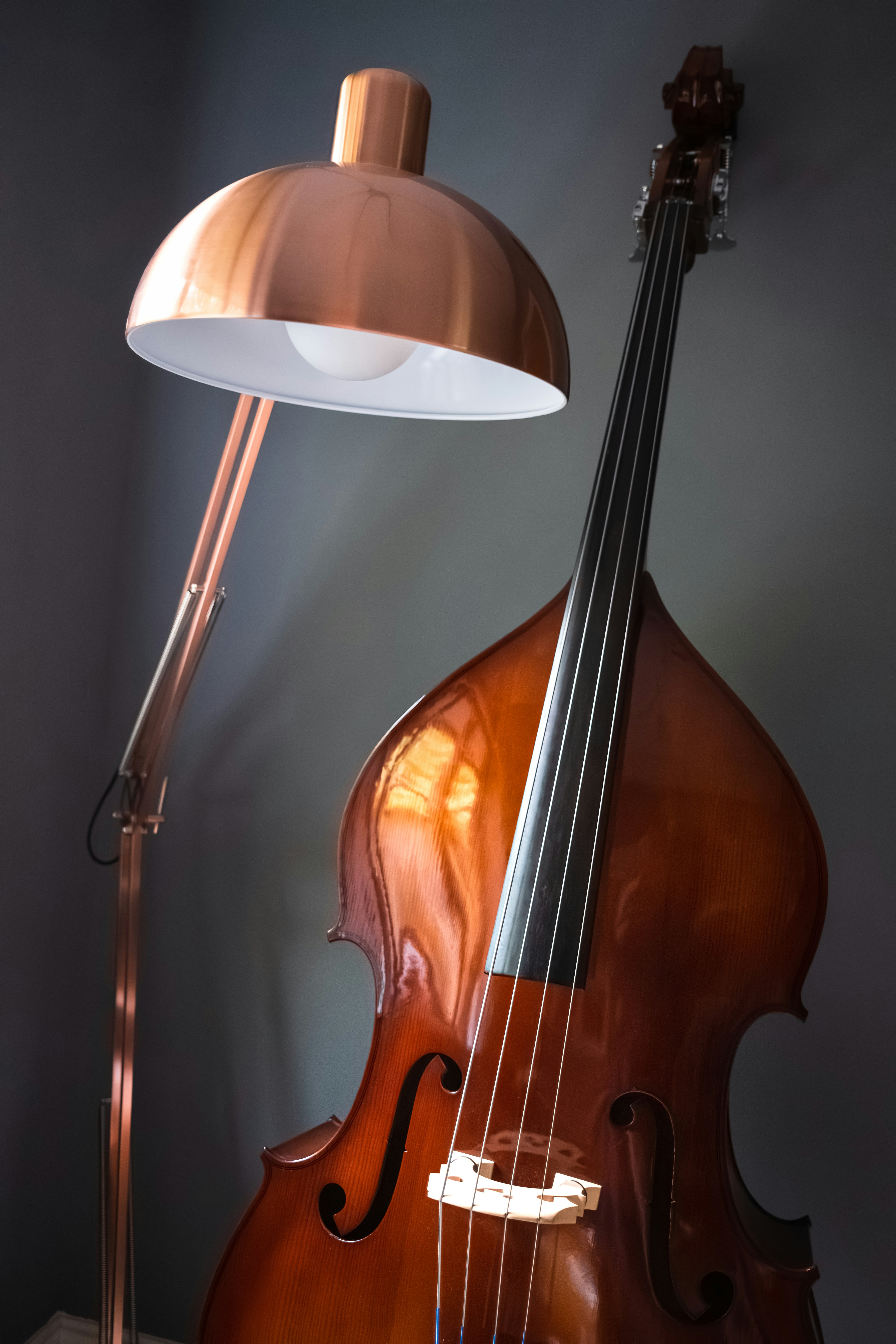 Double Bass