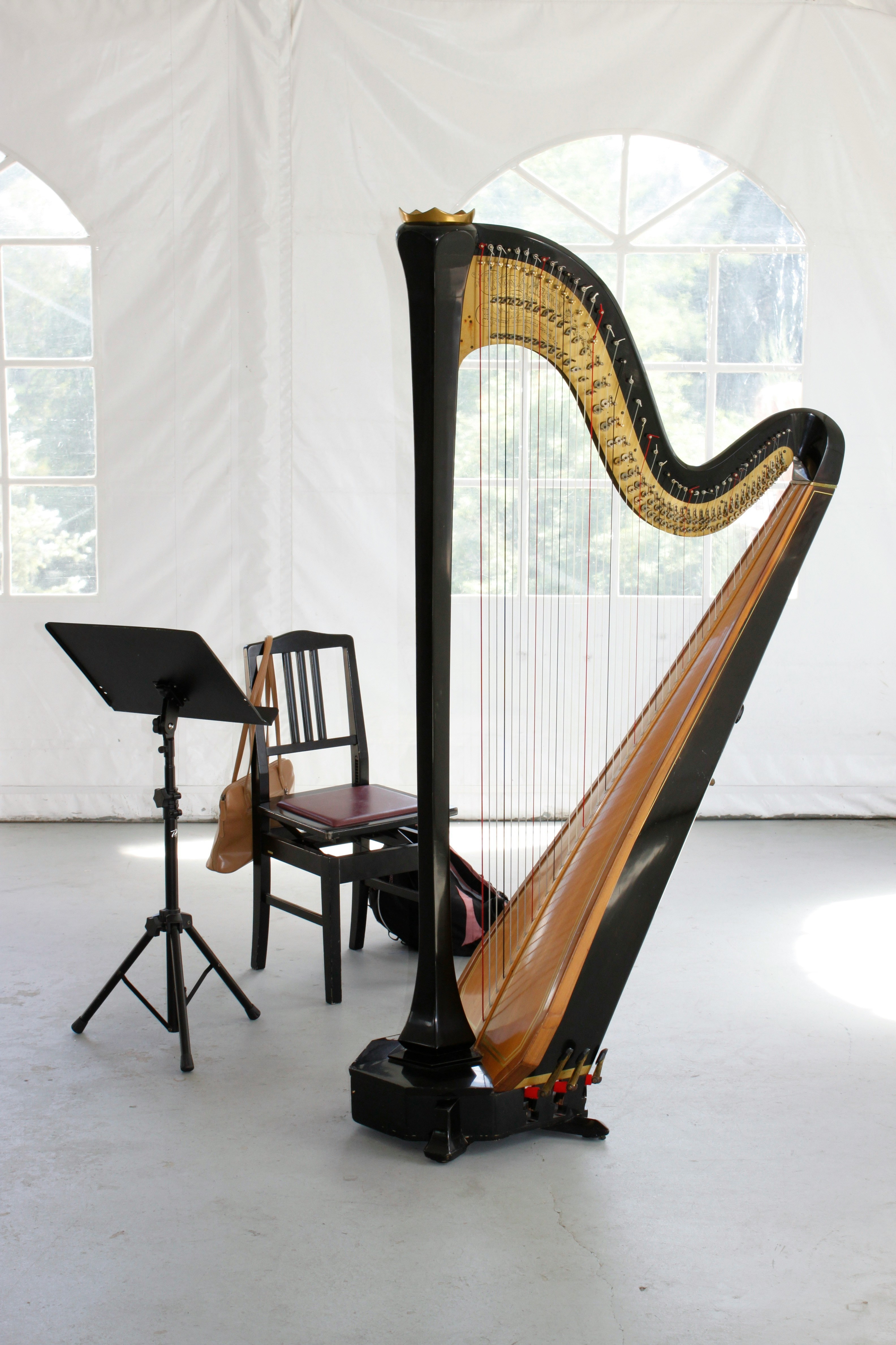 Harp