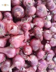 Onions
