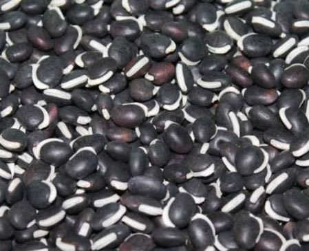 Black Beans