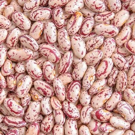 Beans