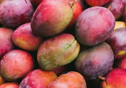 Fresh Mango Fruits